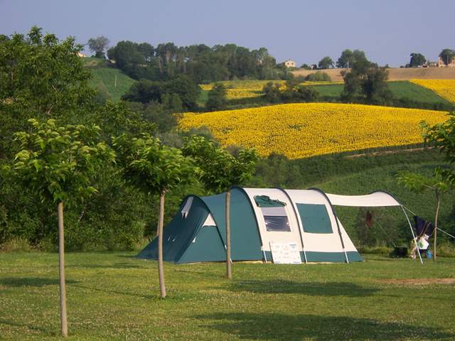 Camping Picobello, Le Marche